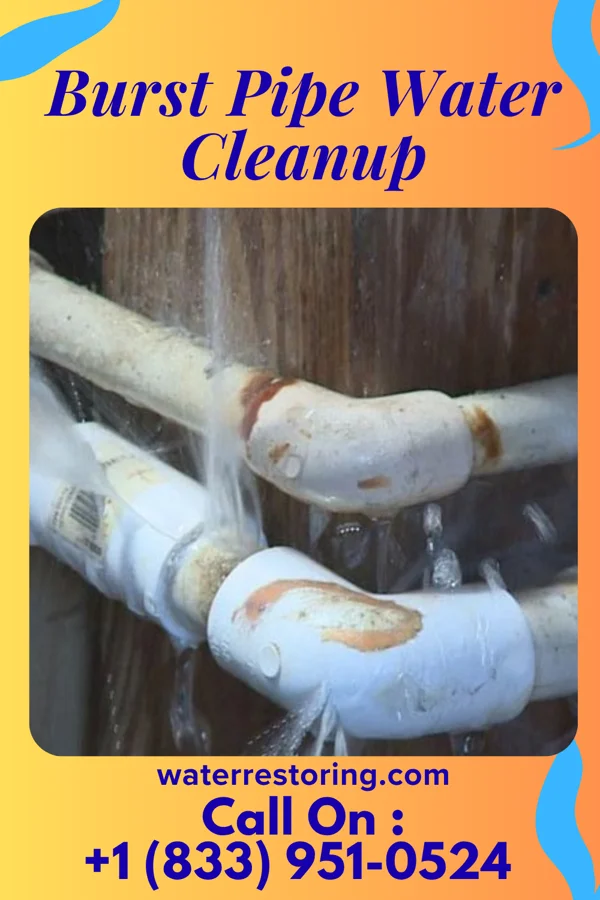 Burst Pipe Water Cleanup in Halls, TN