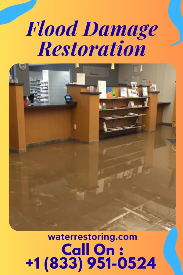 Flood Damage Restoration in Halls, TN