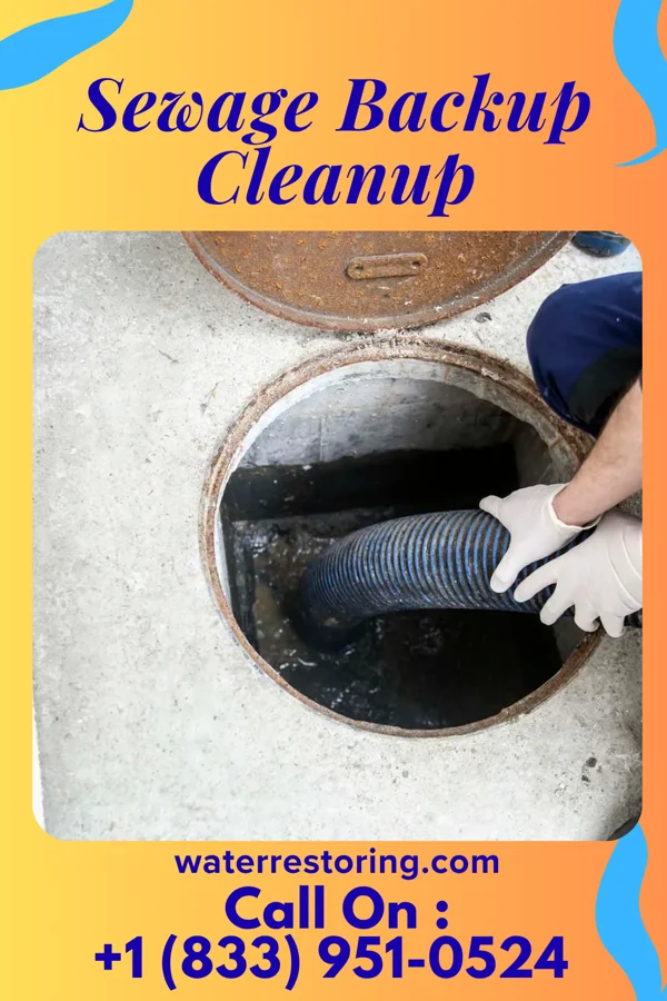 Sewage Backup Cleanup in Halls, TN