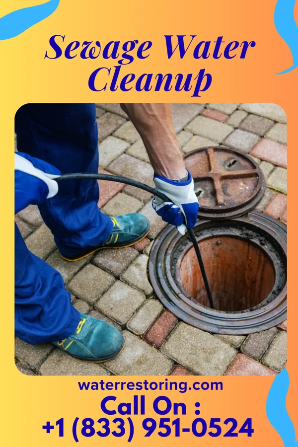 Sewage Water Cleanup in Halls, TN